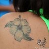 img_3036