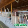 bc7j2795